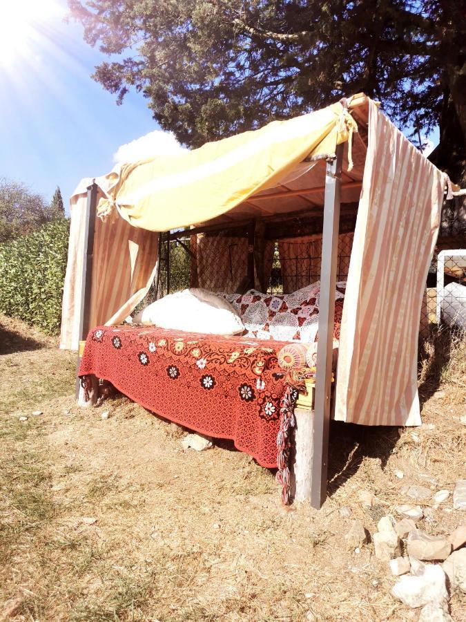 Bed and Breakfast Terra Della Lanterna Cetona Exterior foto